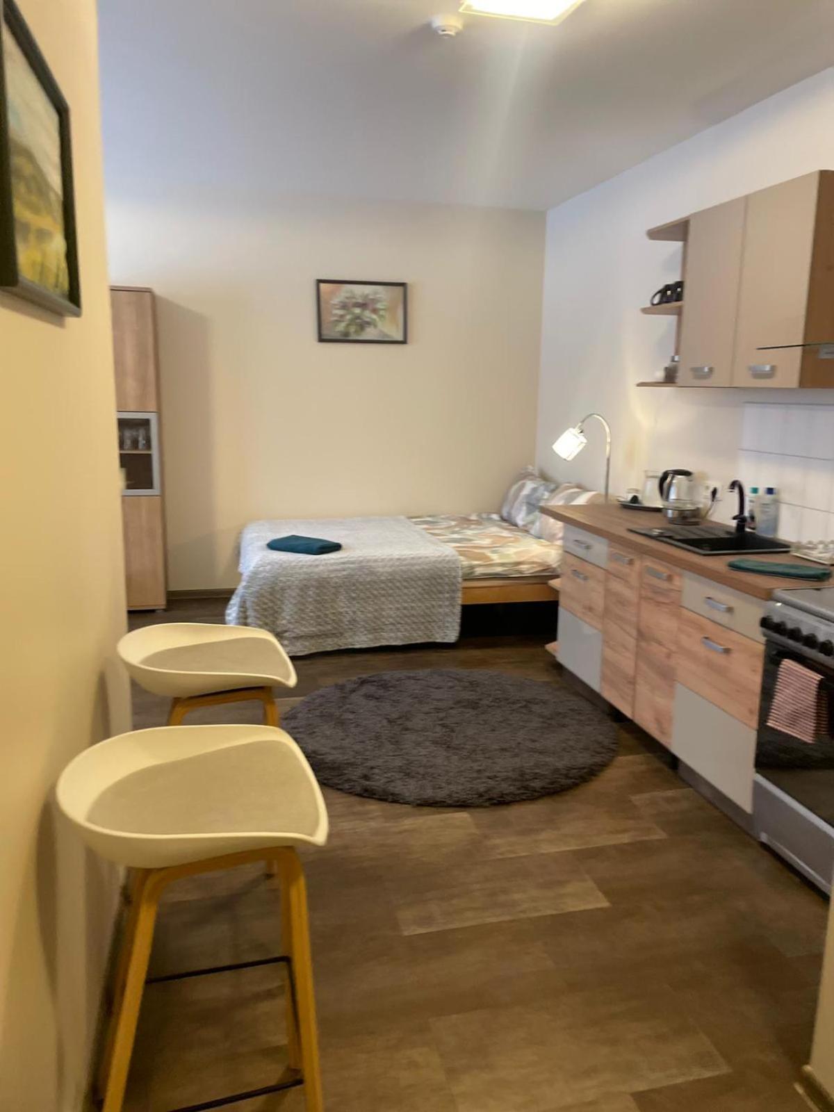 Studio Apartamenti Цесис Экстерьер фото